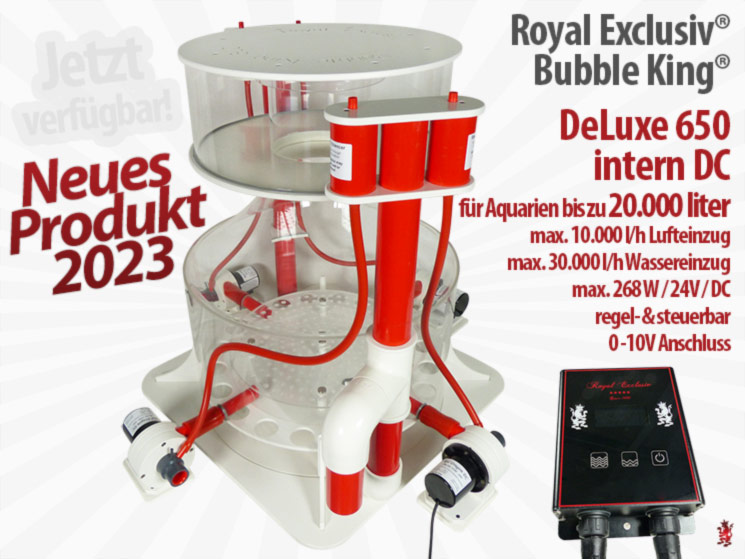 Royal Exclusiv Bubble King DeLuxe 650 / 610 intern DC