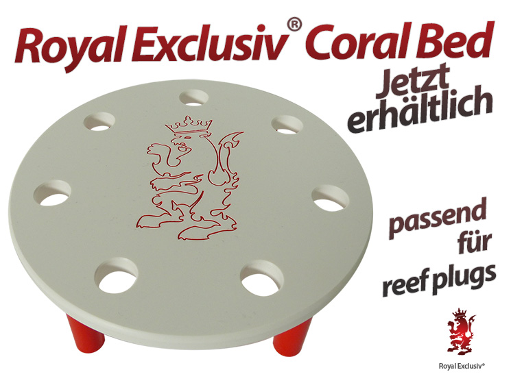 Royal Exclusiv Korallen Sofa Reef Bett Deck Korallen Halter 