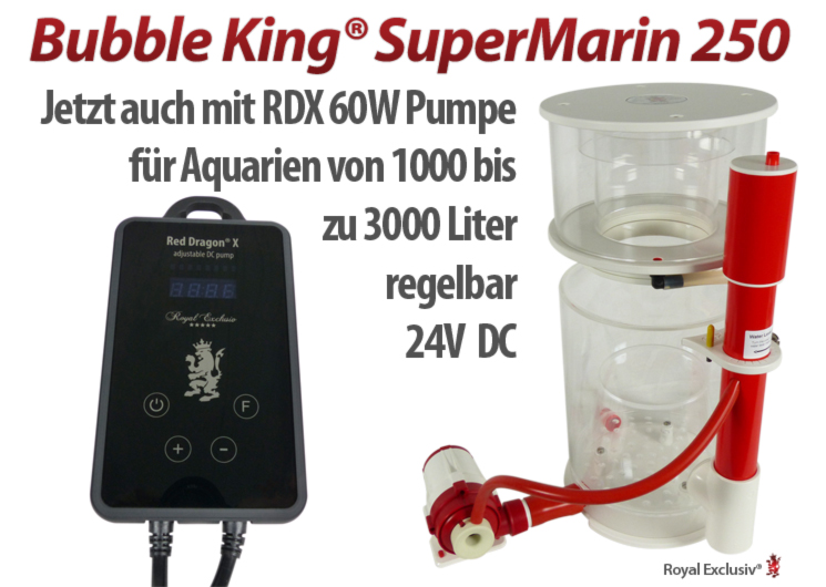 Royal Exclusiv Bubble King SuperMarin 250 Red Dragon X verfügbar