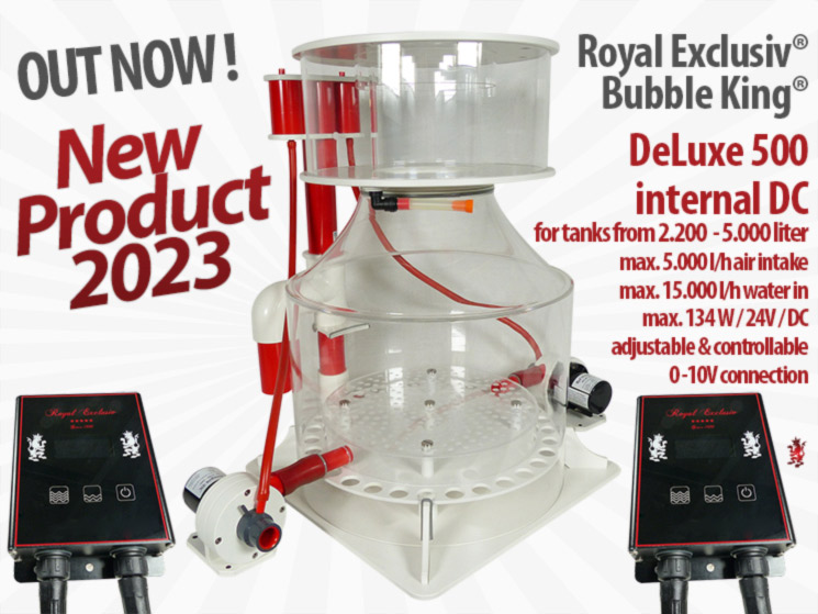 Royal Exclusiv Bubble King DeLuxe 500 internal DC 24V