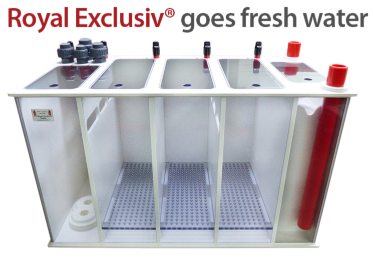 Royal Exclusiv goes fresh water
