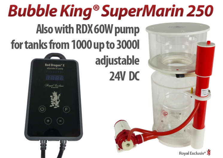 Royal Exclusiv Bubble King SuperMarin 250 Red Dragon X available