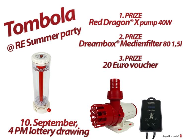 Royal Exclusiv Tombola at Sommer Party 2022