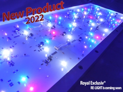 Royal Exclusiv® LED Leuchte  RE-LIGHT TWO