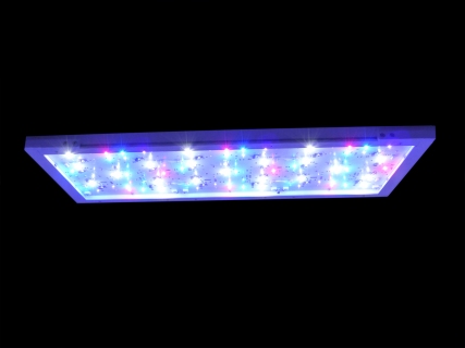 Royal Leuchte RE-LIGHT THREE Light Exclusiv® LED REEF