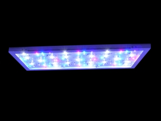 Royal Exclusiv® LED Leuchte  RE-LIGHT TWO