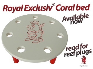 Royal Exclusiv reef plug holder / coral bed